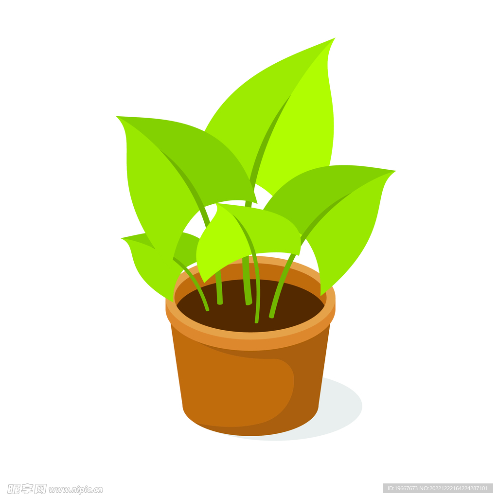 植物 