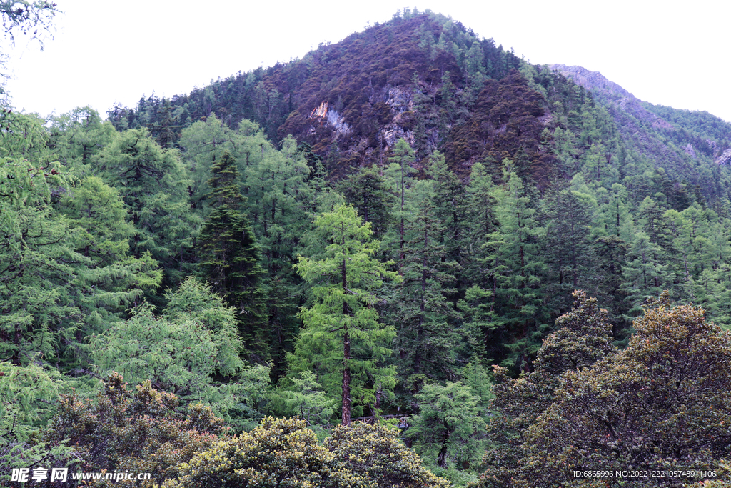 远山