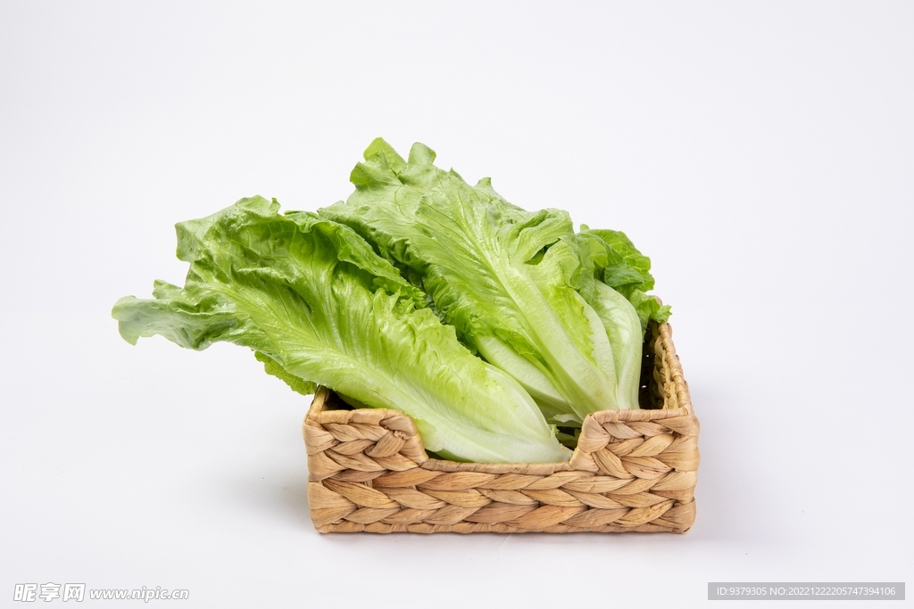 生菜