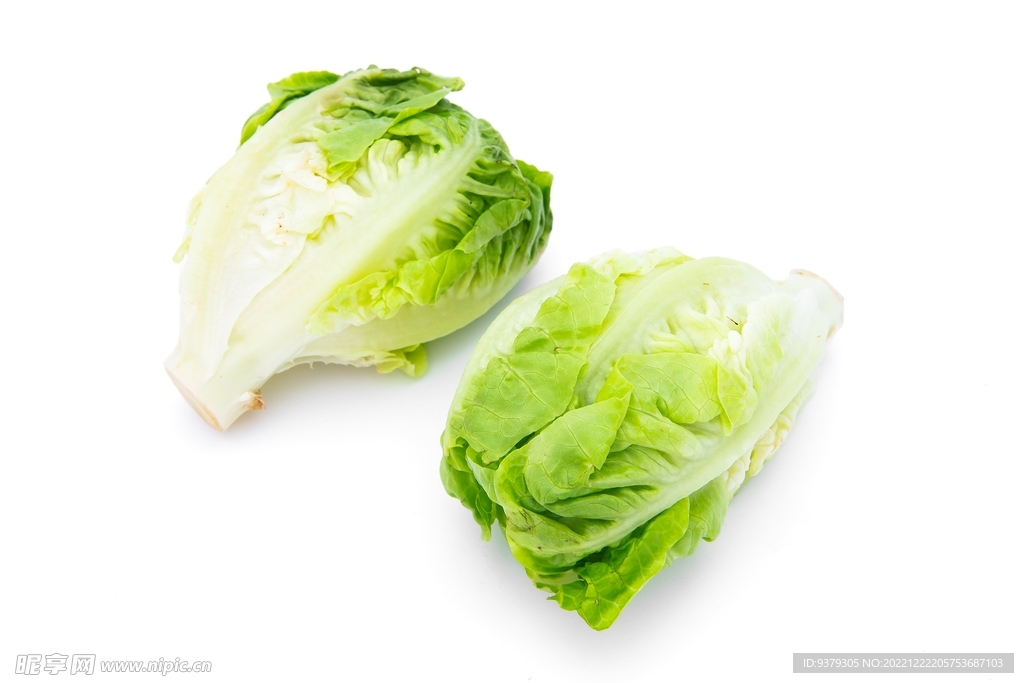 生菜