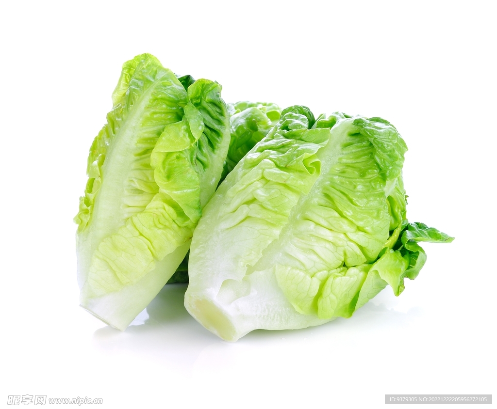 生菜
