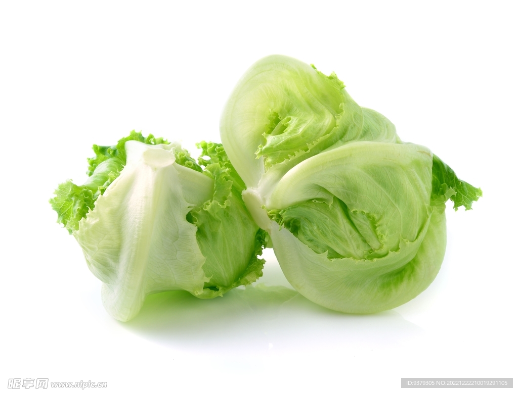 生菜