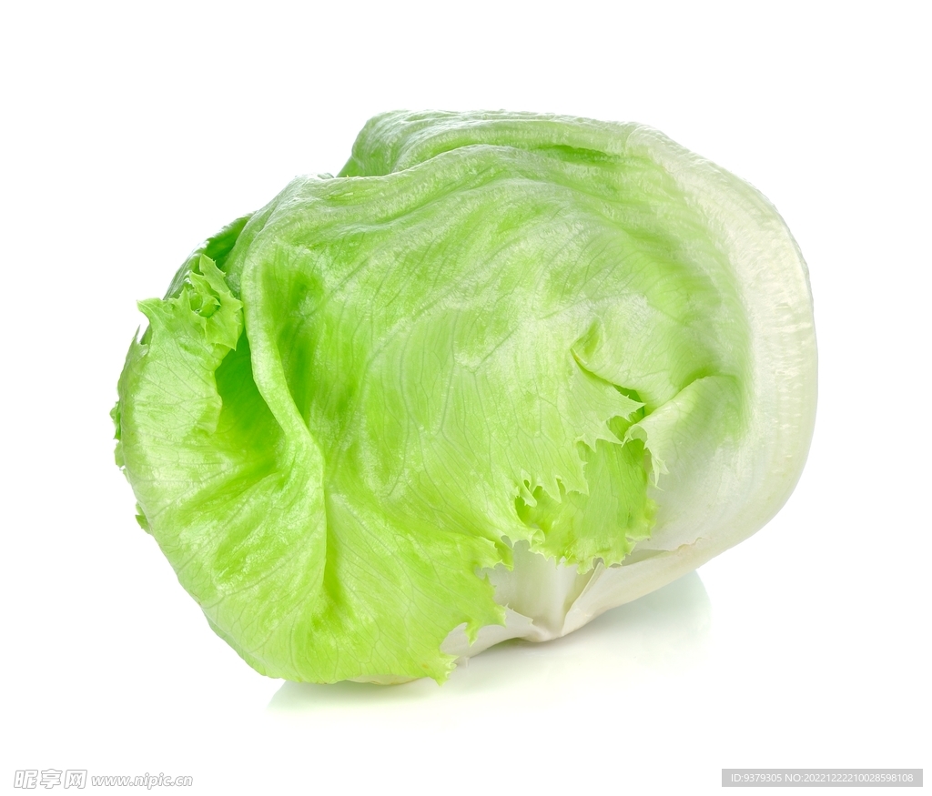 生菜 