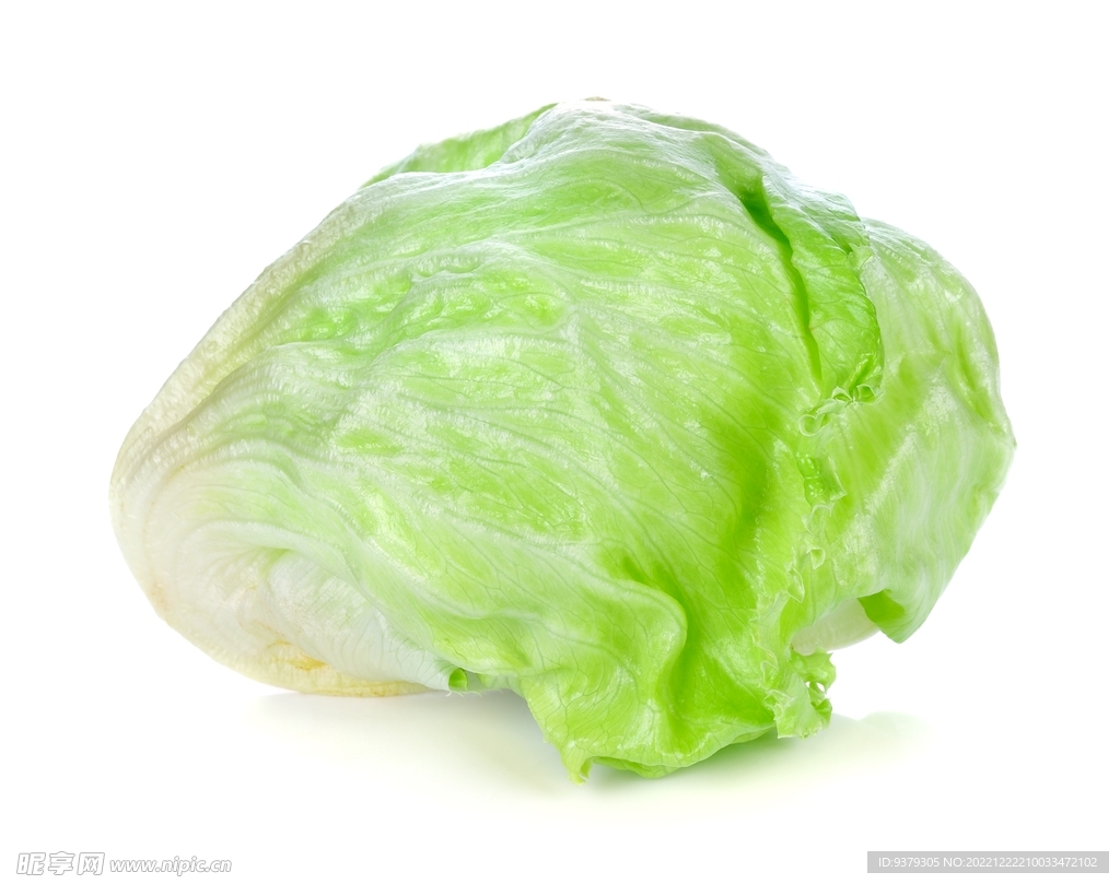 生菜
