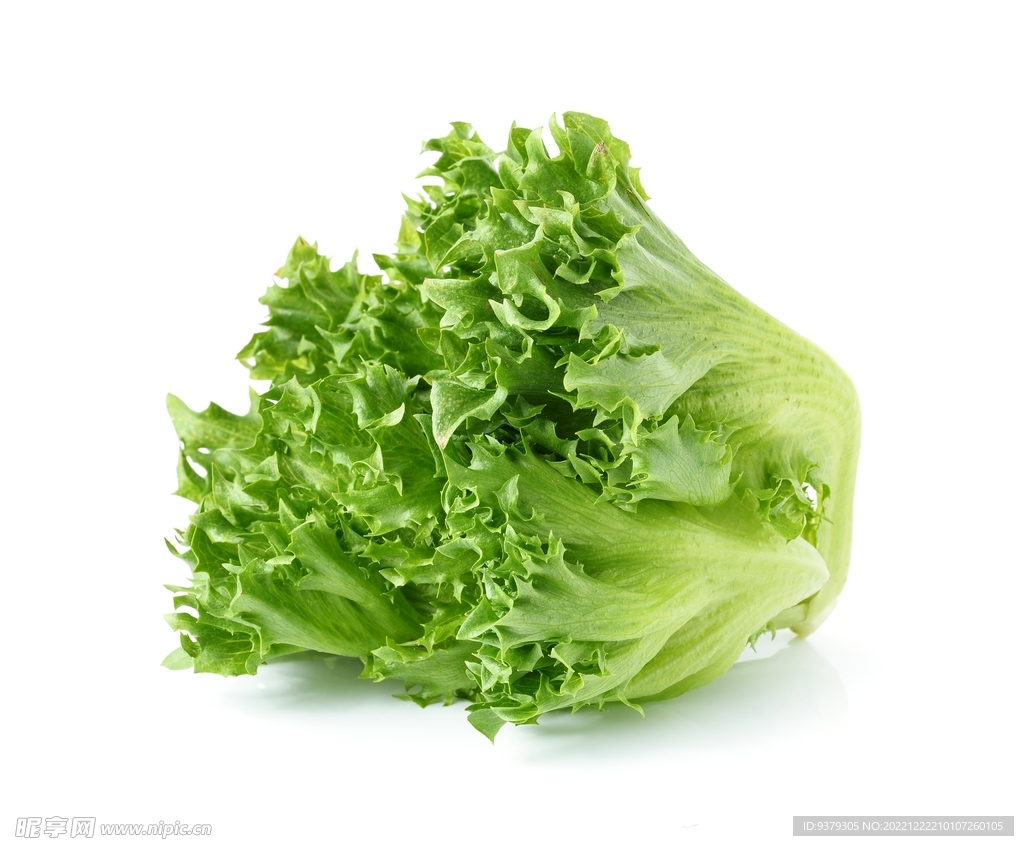生菜 