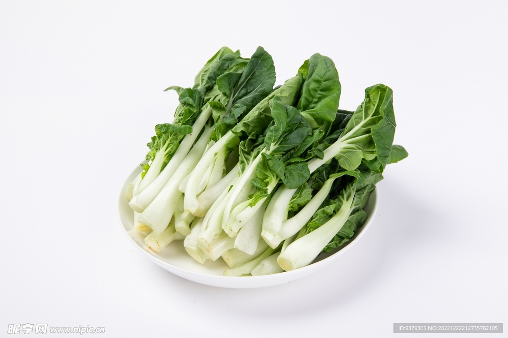 洋白菜