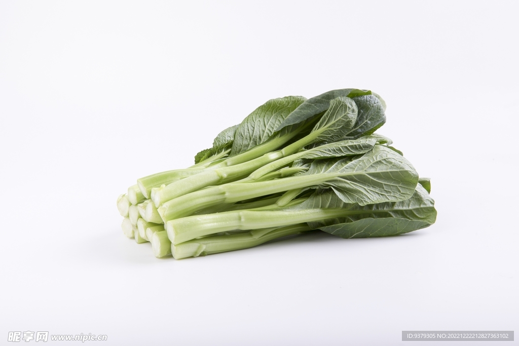 油菜
