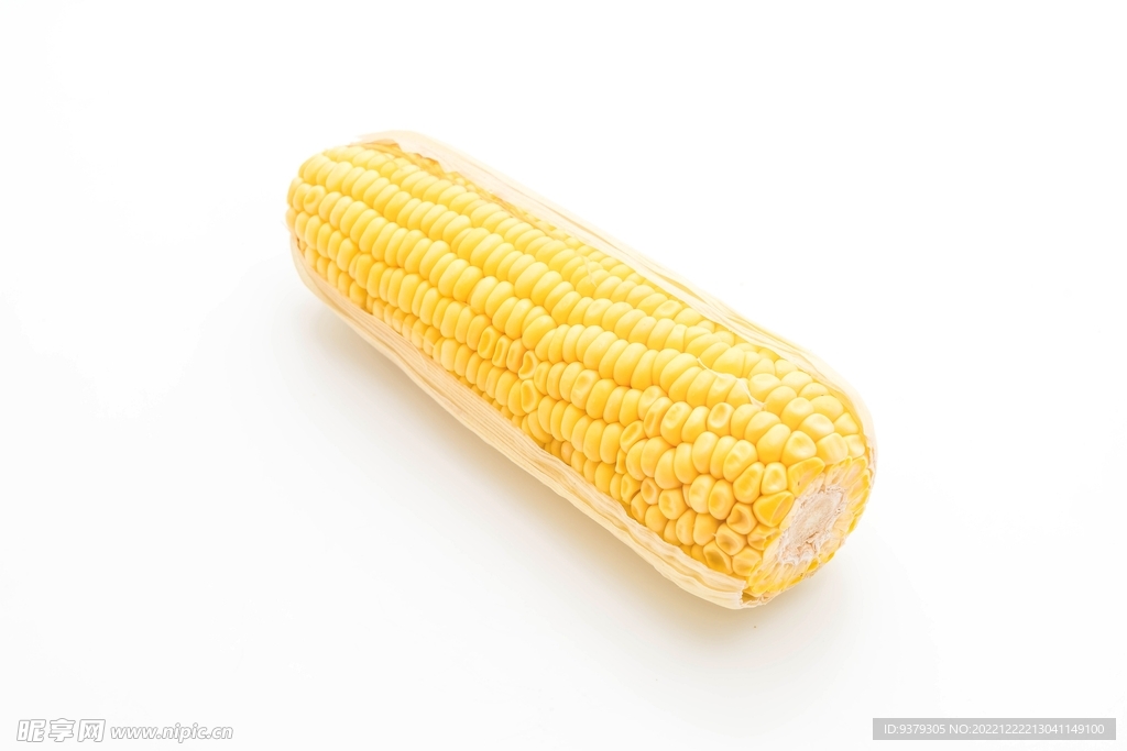 玉米