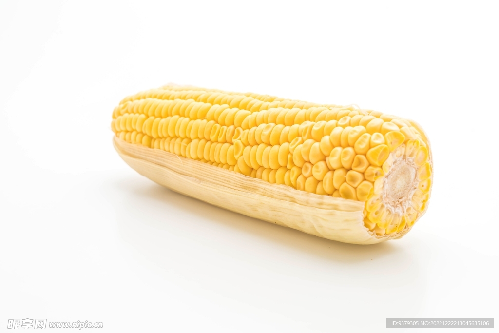 玉米