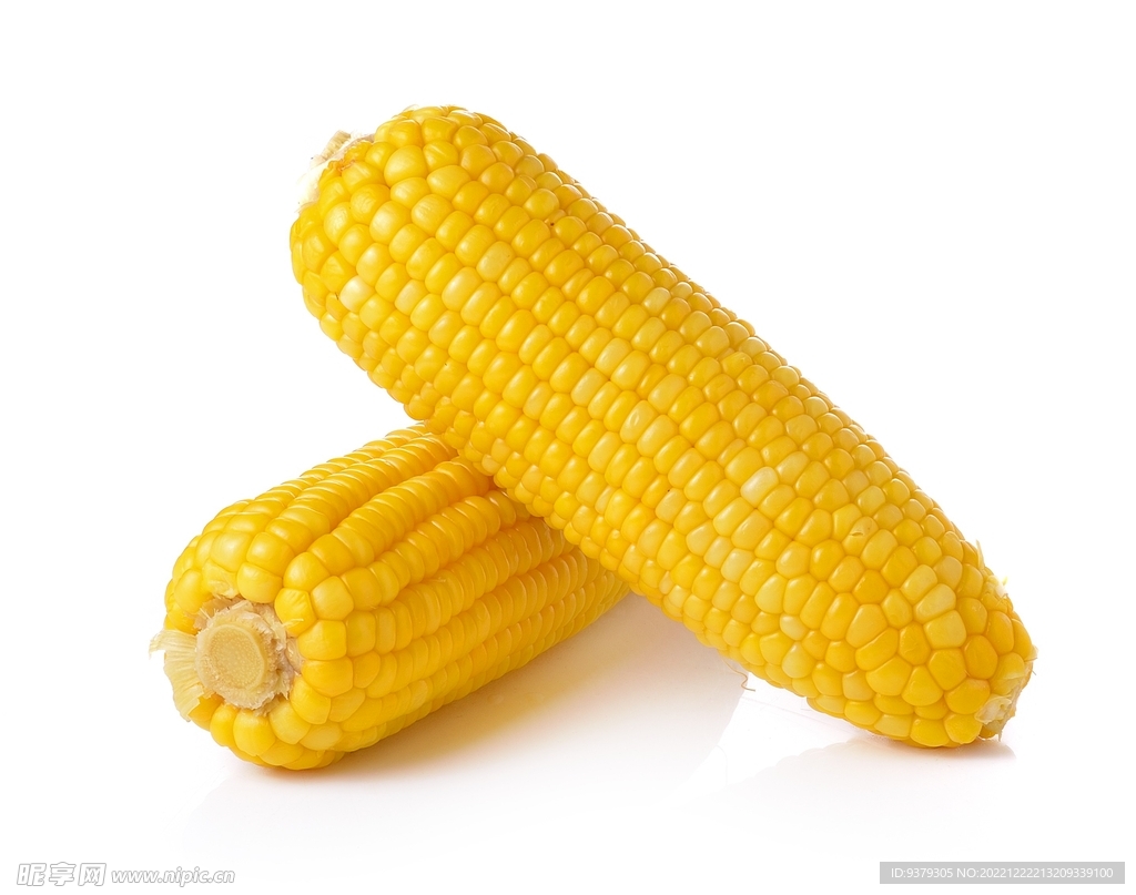 玉米