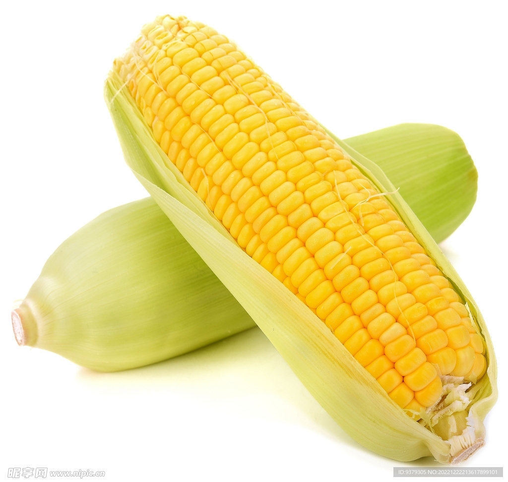 玉米