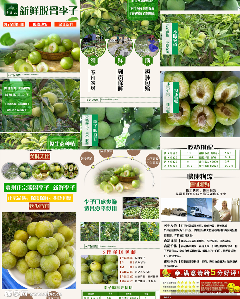 绿色小清新新鲜李子详情页