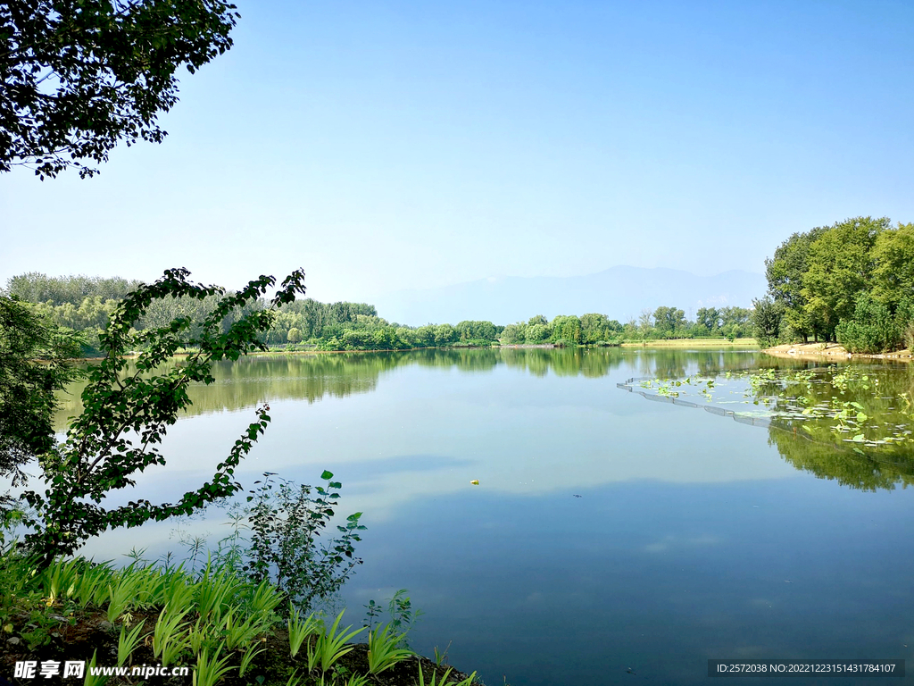 北京翠湖国家湿地公园