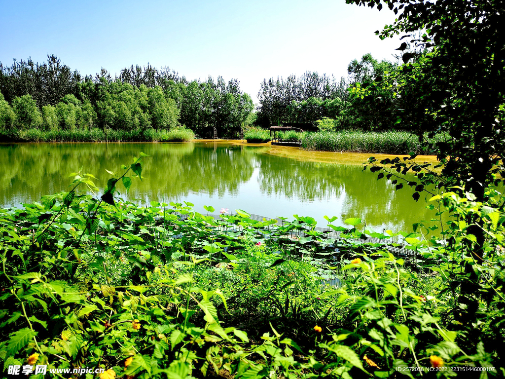 北京翠湖国家湿地公园