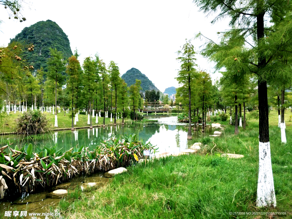 广西靖西湿地公园