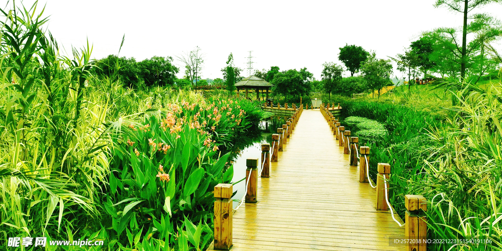 广西南宁那考河湿地公园