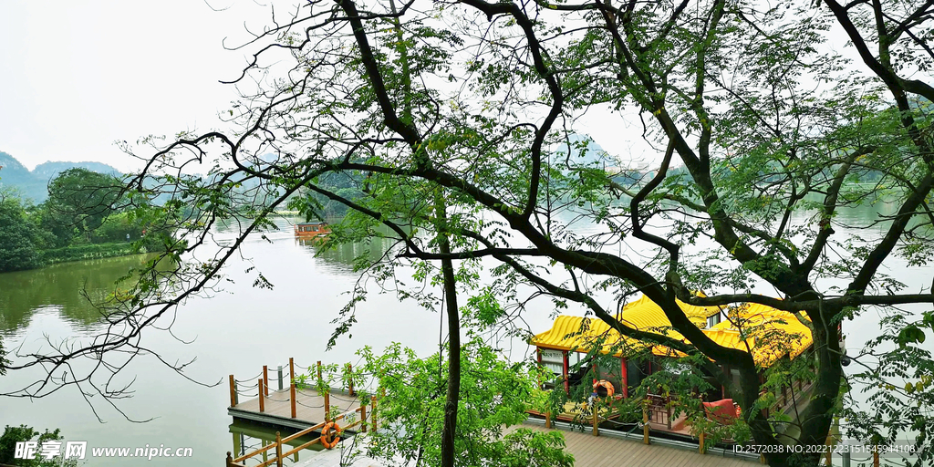 广东星湖湿地公园