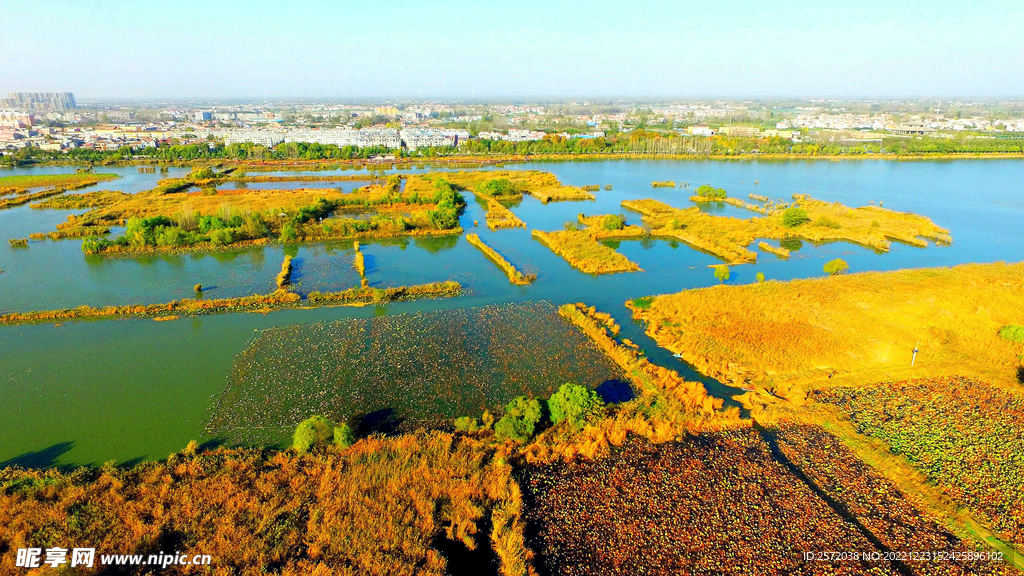 河南淮阳龙湖湿地