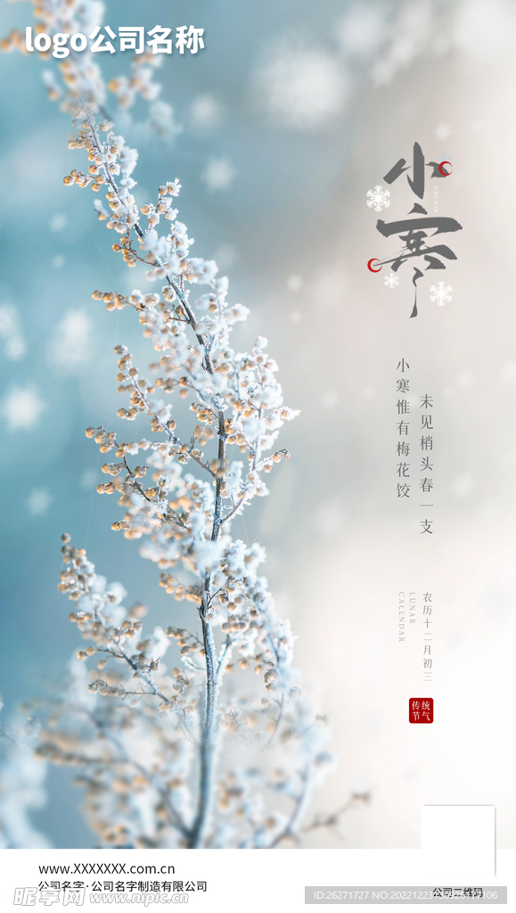 小寒海报