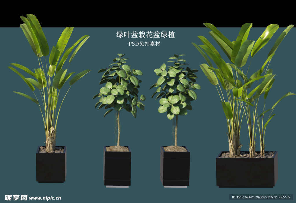 盆栽花盆绿植PSD免扣素材