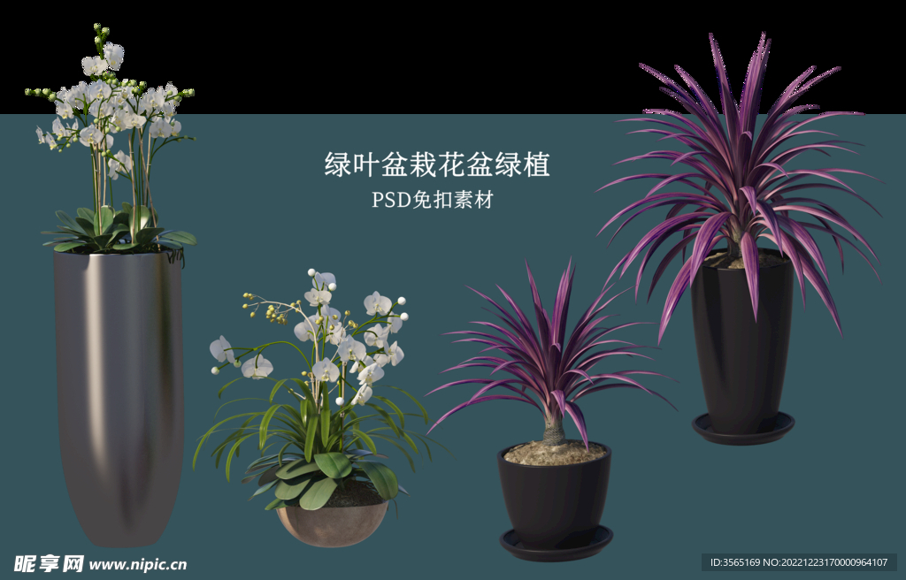 盆栽花盆绿植PSD免扣素材