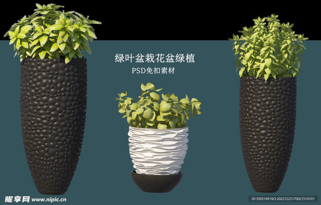 盆栽花盆绿植PSD免扣素材