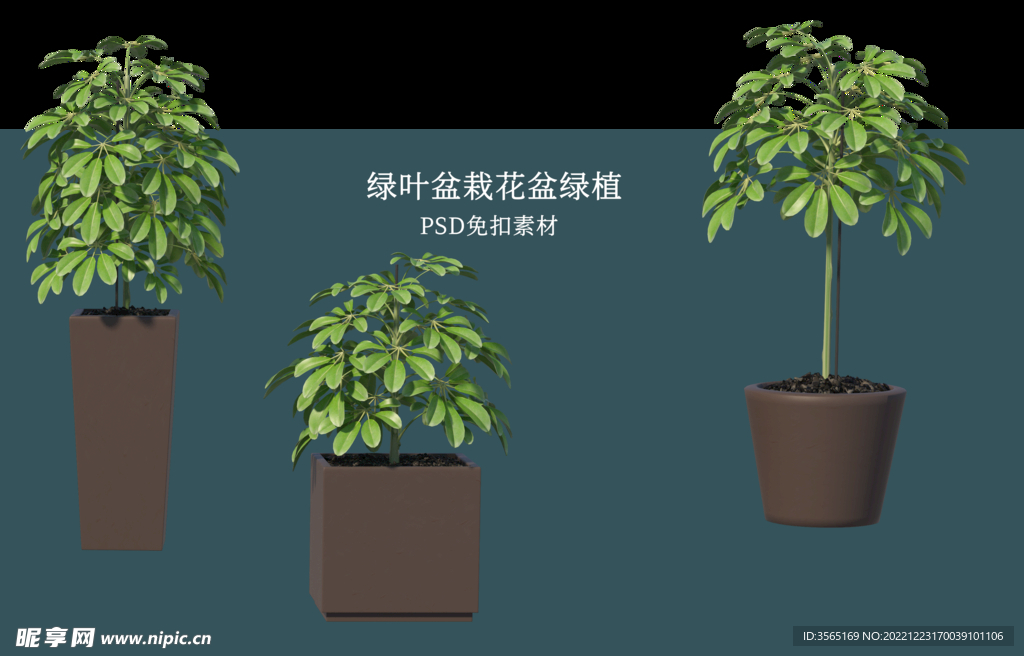 盆栽花盆绿植PSD免扣素材
