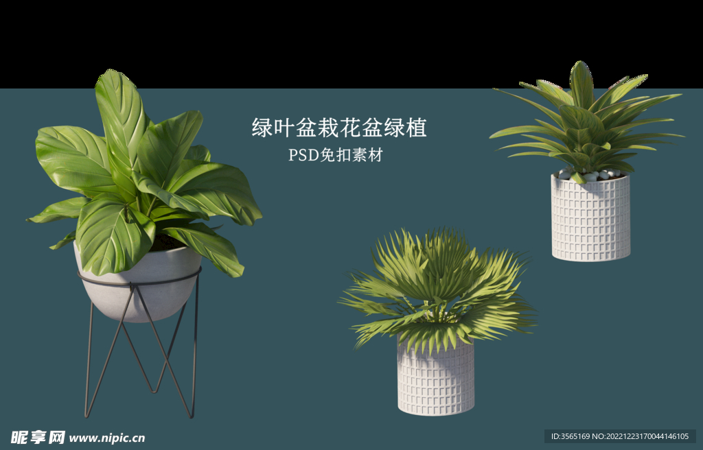 盆栽花盆绿植PSD免扣素材