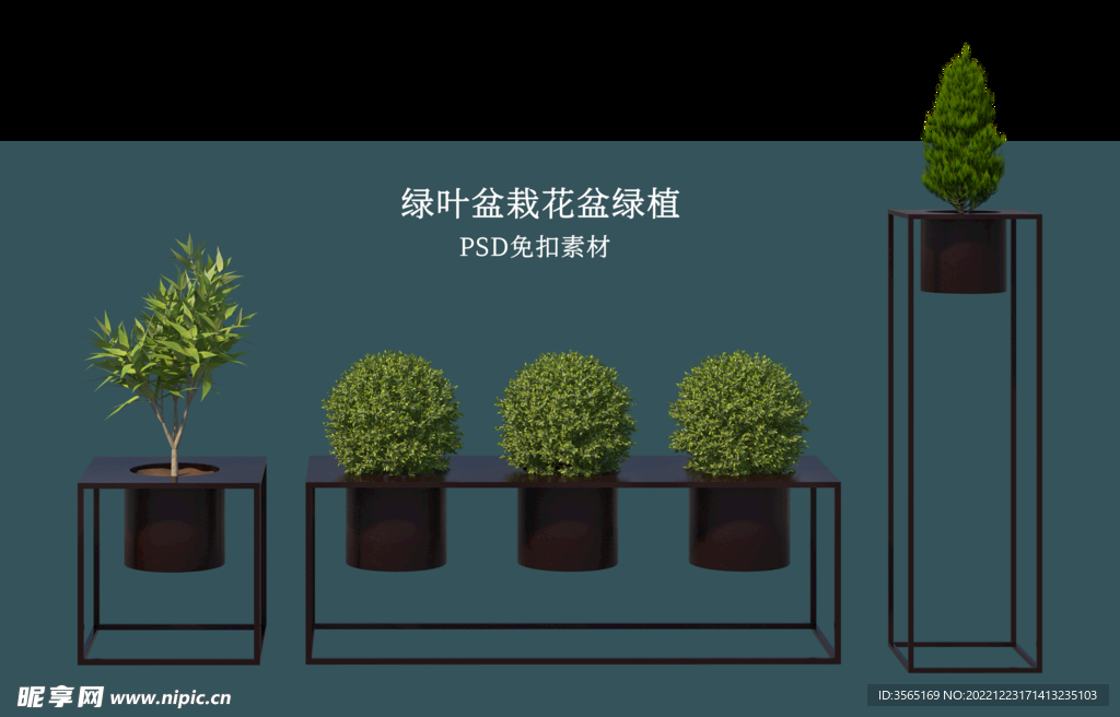 盆栽花盆绿植PSD免扣素材