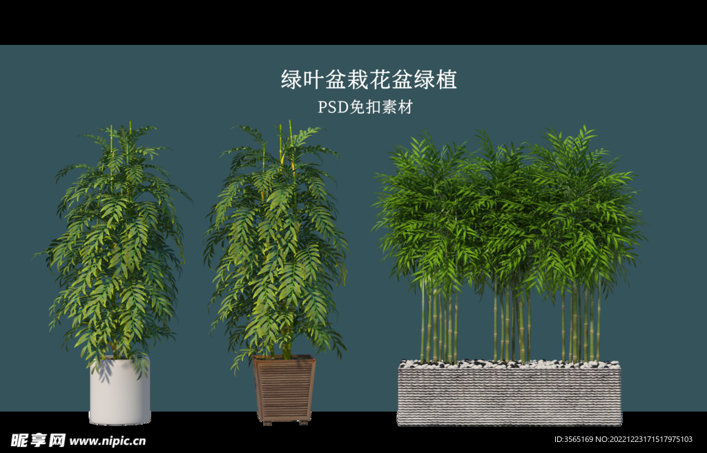 盆栽花盆绿植PSD免扣素材