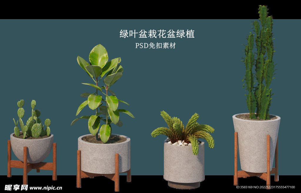 盆栽花盆绿植PSD免扣素材