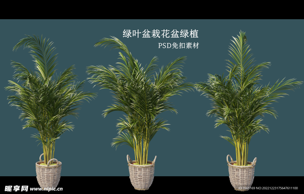 盆栽花盆绿植PSD免扣素材