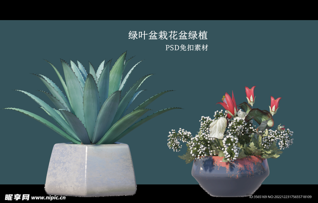 盆栽花盆绿植PSD免扣素材