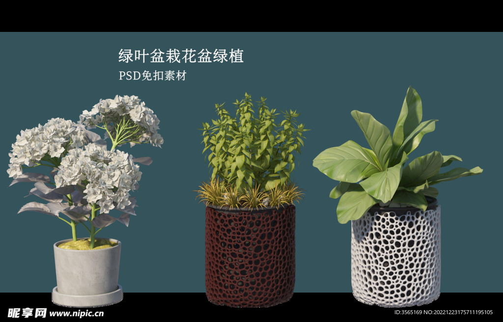 盆栽花盆绿植PSD免扣素材