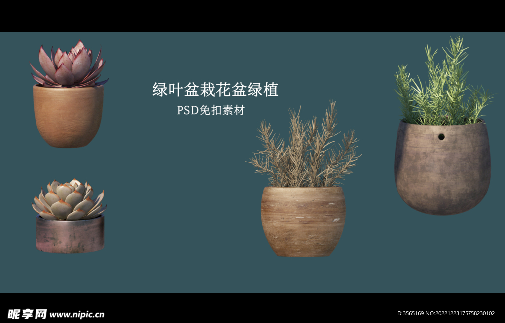 盆栽花盆绿植PSD免扣素材