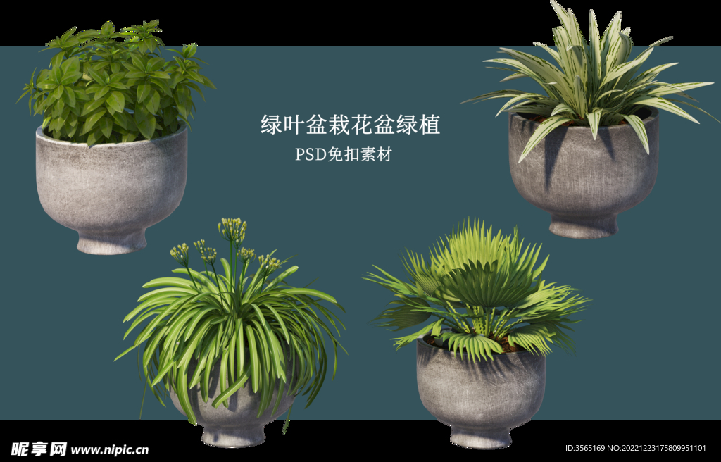 盆栽花盆绿植PSD免扣素材