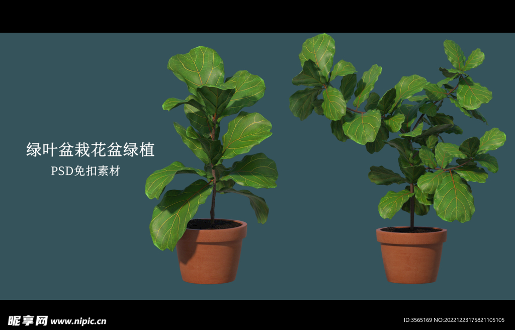 盆栽花盆绿植PSD免扣素材