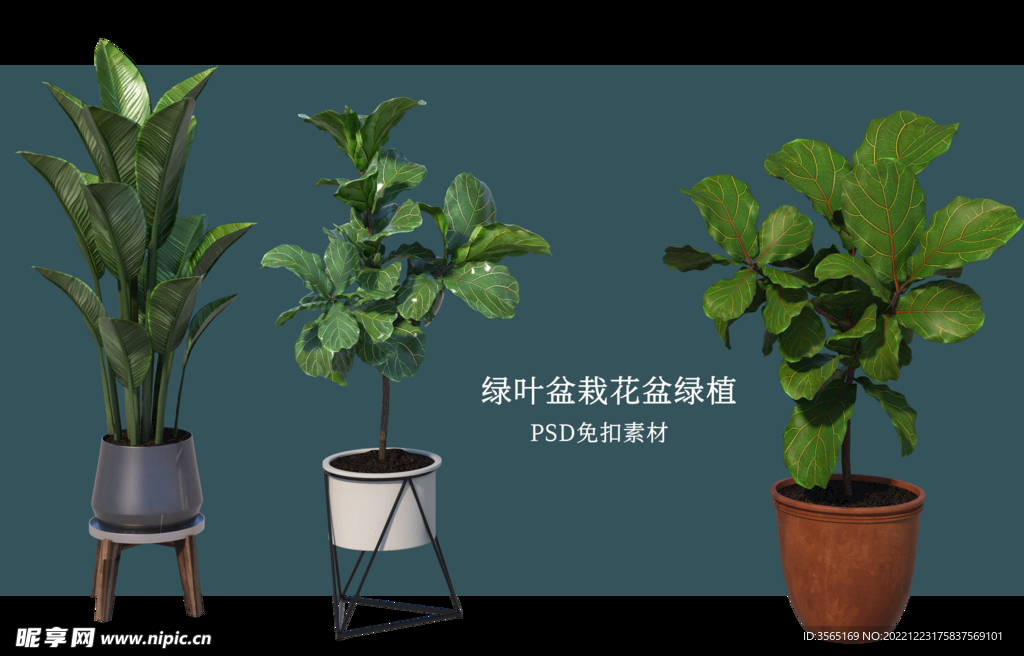 盆栽花盆绿植PSD免扣素材
