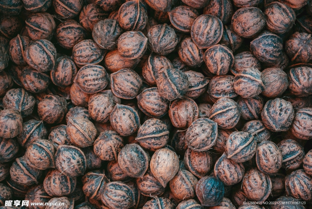 核桃