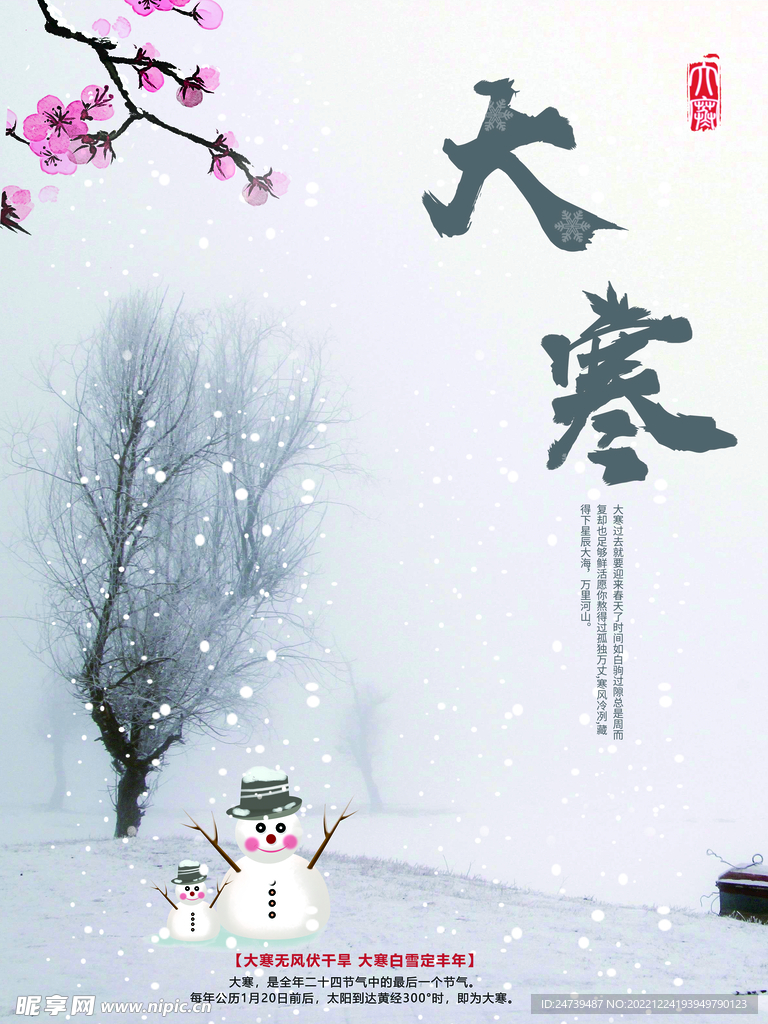 大寒海报