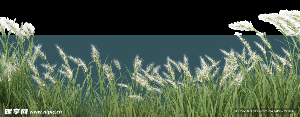 芦苇与绿植草丛景观PSD素材