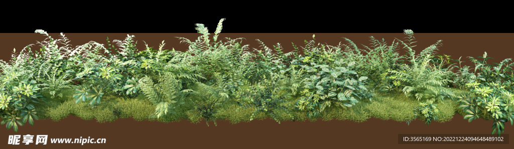 绿色植物草丛景观PSD素材