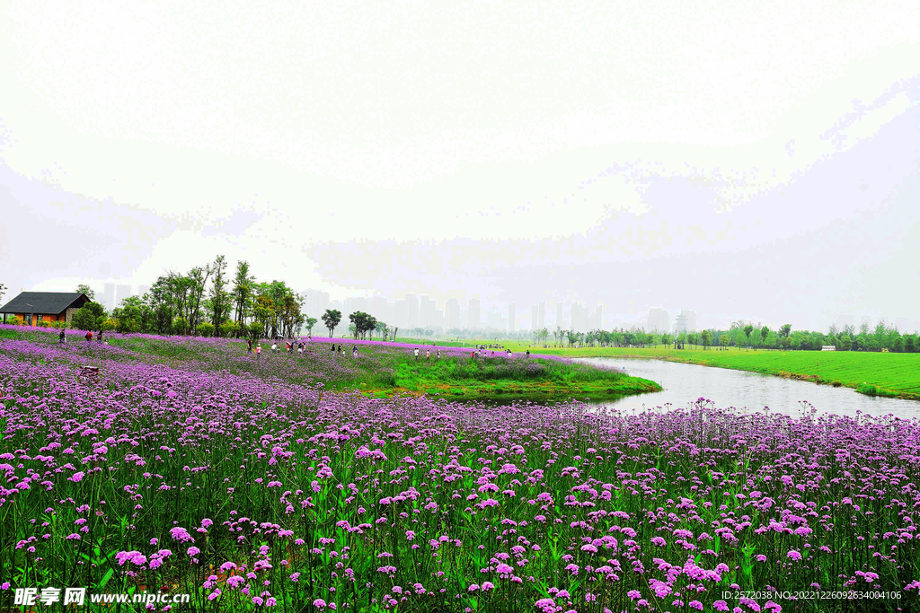 湖南长沙洋湖湿地公园