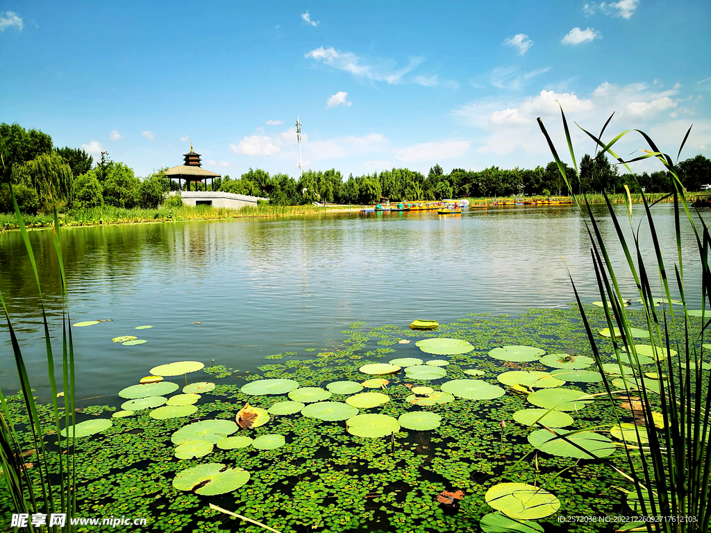 吉林长春北湖湿地公园