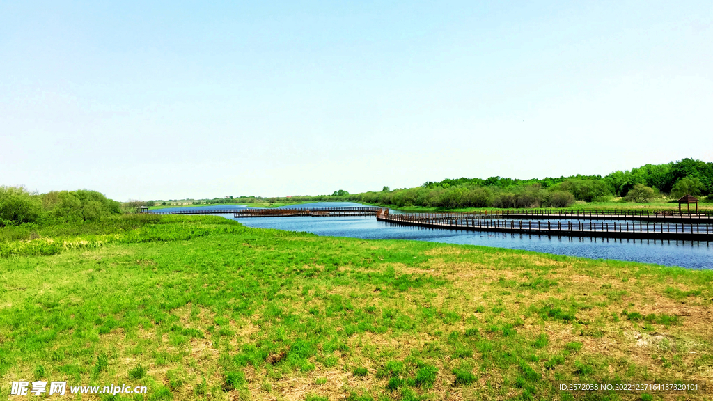 黑龙江黑瞎子岛湿地