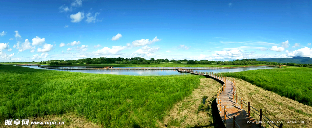 黑龙江黑瞎子岛湿地