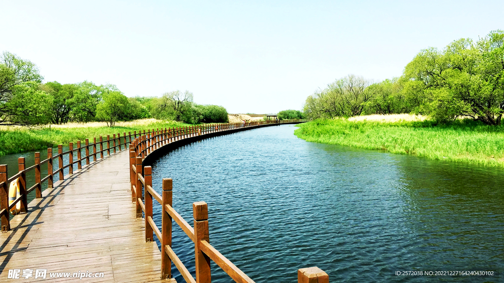 黑龙江黑瞎子岛湿地