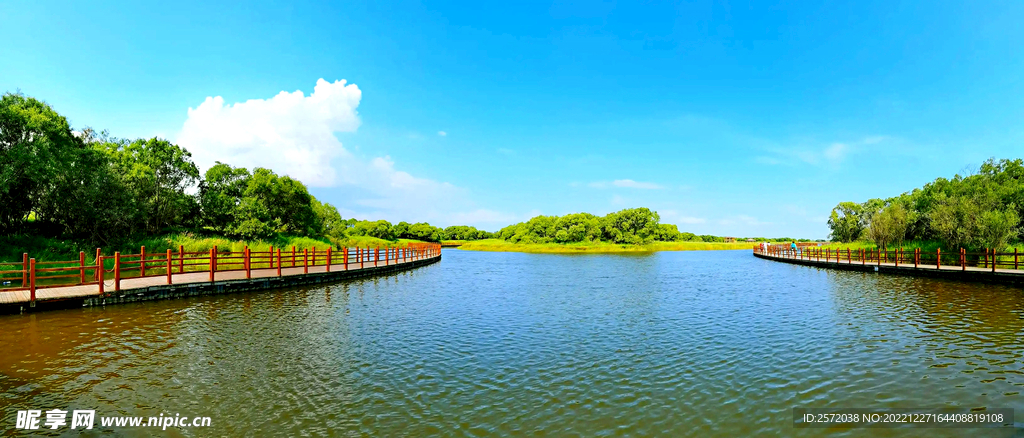黑龙江黑瞎子岛湿地