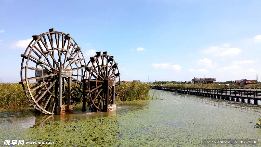 浙江宁波杭州湾国家湿地