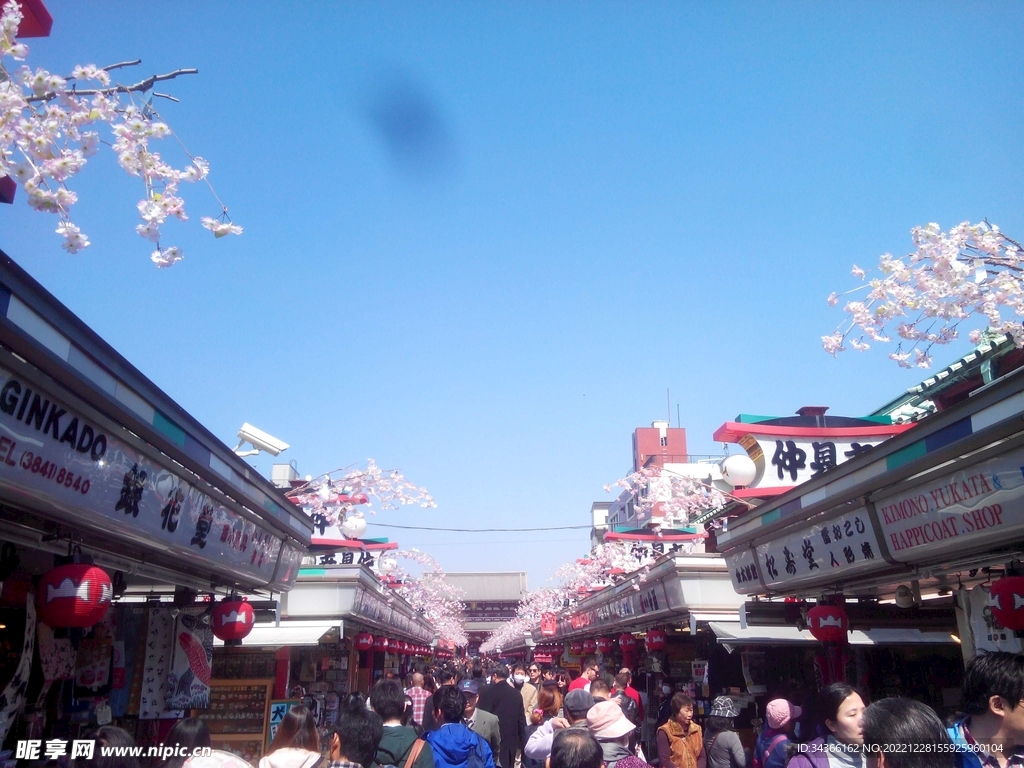 风景 自然 